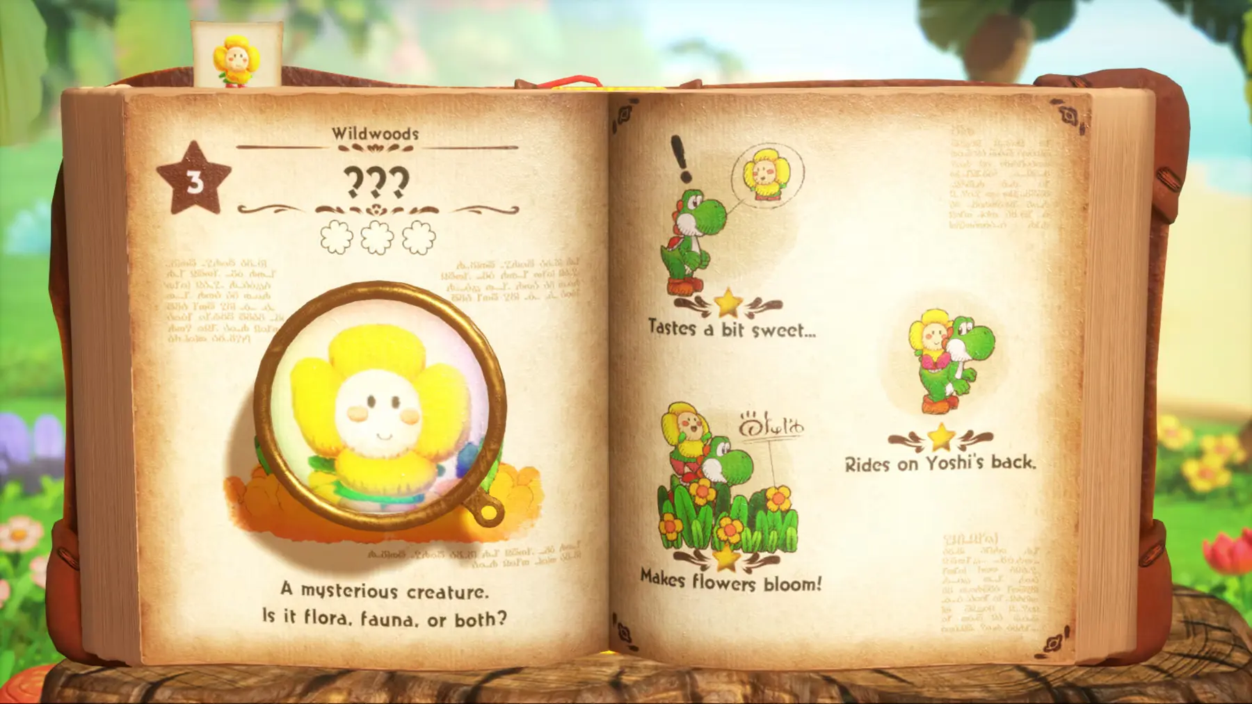 Yoshi and the Mysterious Book Yoshi and the Mysterious Book